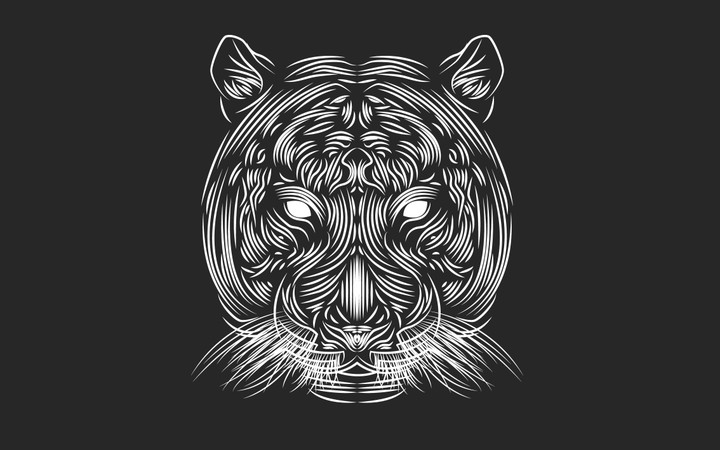 Tiger illustration