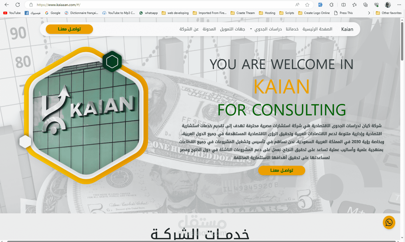 Portfolio for Consulting Company