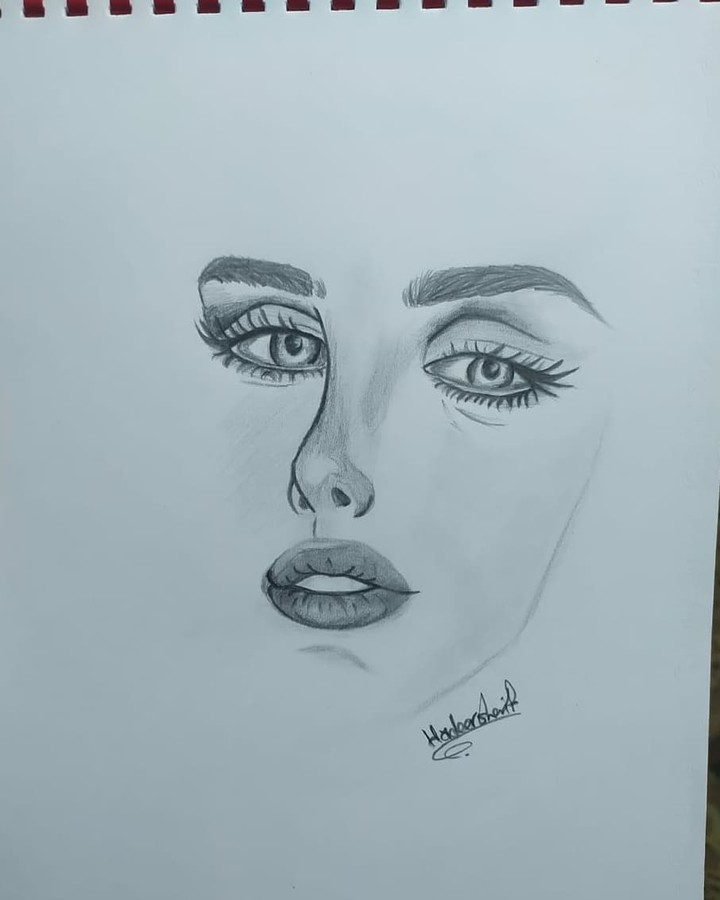 رسم بقلم staedtler