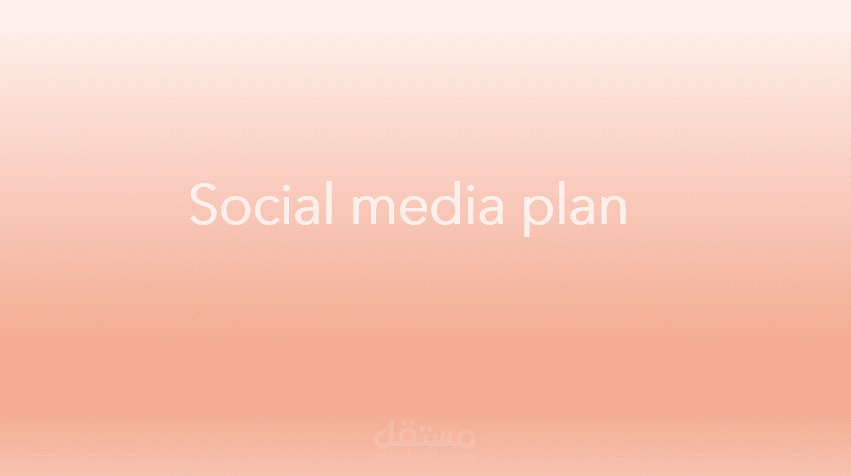 Social media plan