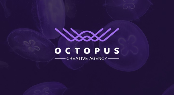 Octopus - Brand Identity Design