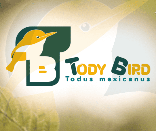 NEW TODY BIRD logo design