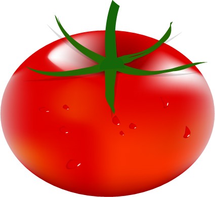 tomato design