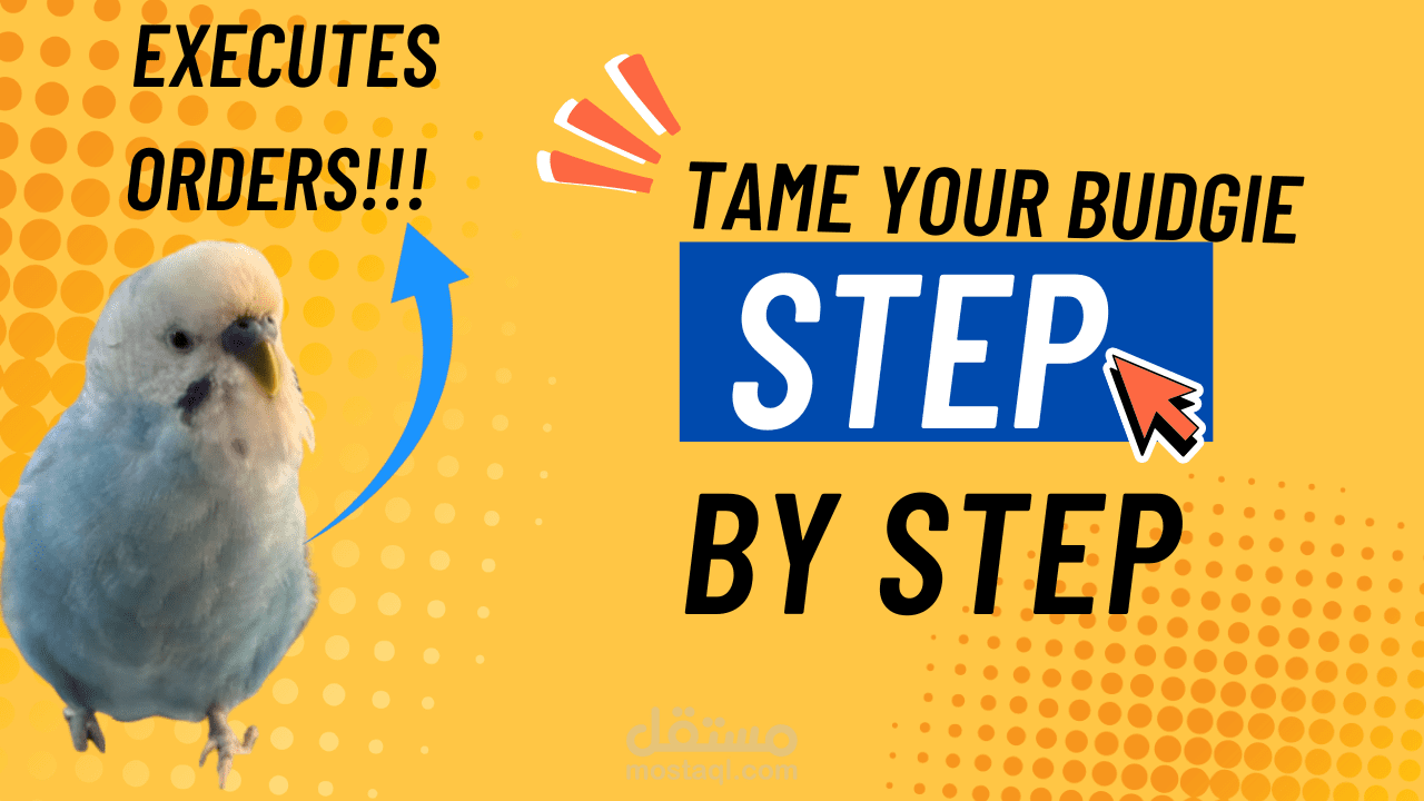 YouTube Thumbnail Design
