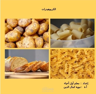 الكربوهيدرات