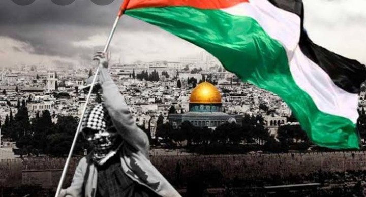 مونتاج لفلسطين