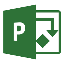 Microsoft project management