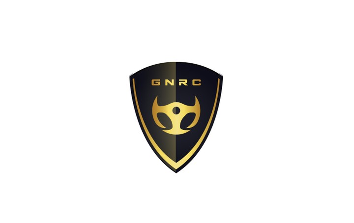 Golden Network Rental Car - Logo Design