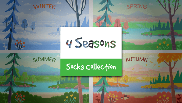 Four Seasons Socks Collection