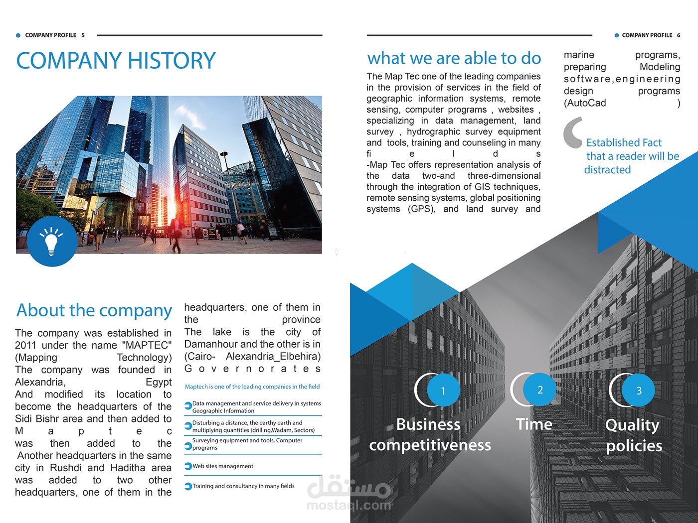 Company history