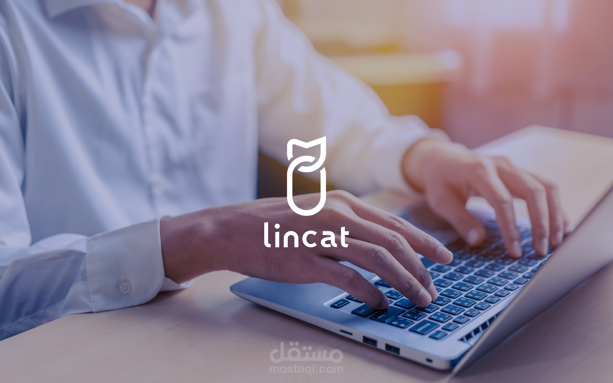 Lincat Branding & Logo Design