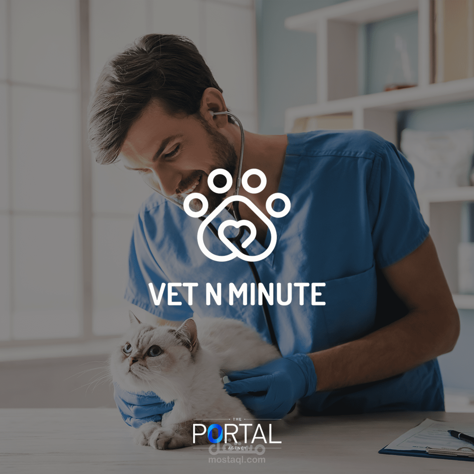 Vet N Minute Branding & Logo Design