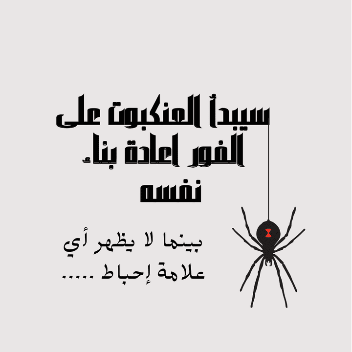 تصميم سوشيال ميديا