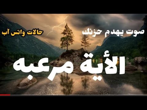 مونتاج للقران الكريم