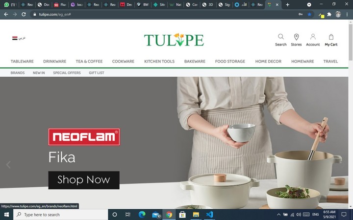 Tulipe website already hosting