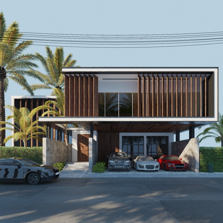 Modern villa