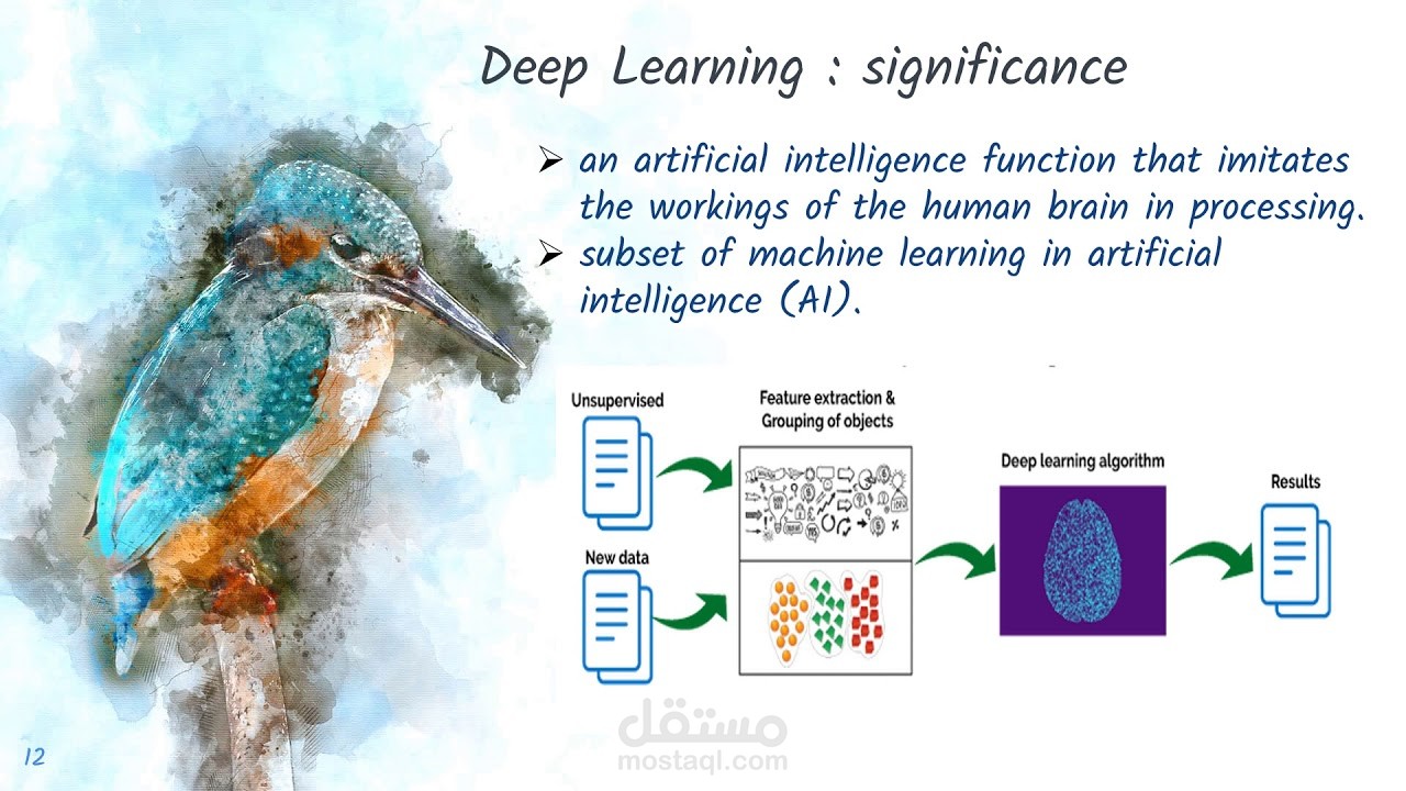 عرض تقديمي عن Enhancing Image Retrieval Using Deep Learning Techniques