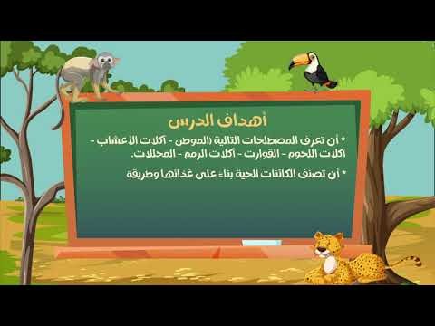 فيديو تعليم الكتروني للأطفال