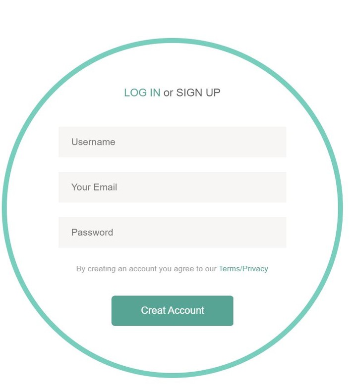 Login Form