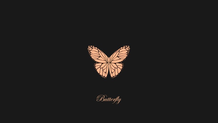 butterfly