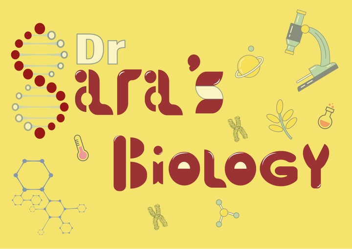 flyer for biology teacher and logo design