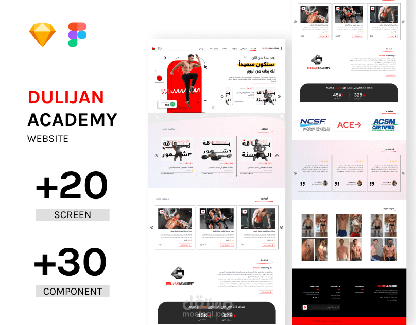 Dulijan Academy website