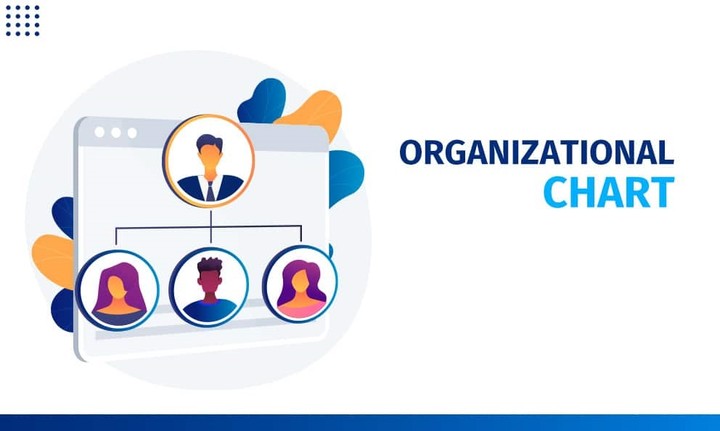 إعداد الهياكل التنظيمية و الوظيفي للشركات والإدارات | Org-Chart
