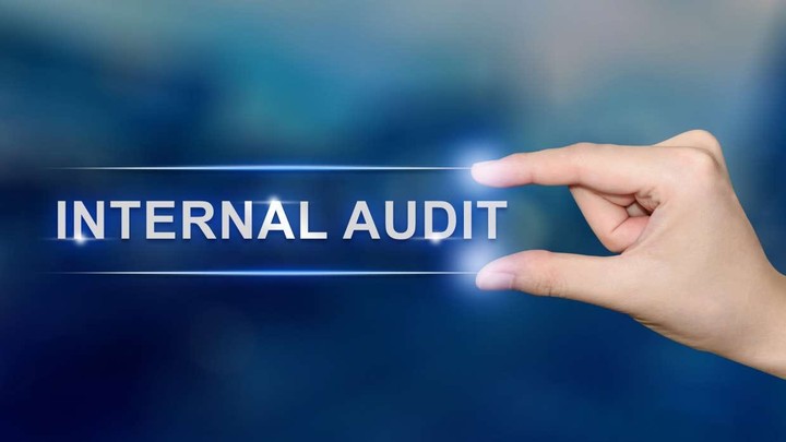 التدقيق الداخلي عن بعد - Internal Audit service