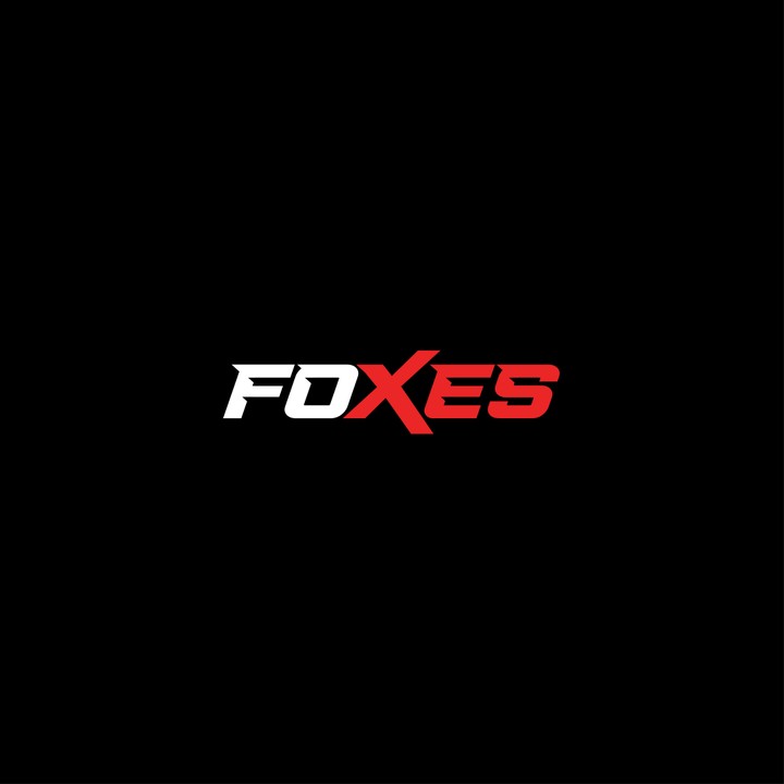 تصميم شعار  FOXES