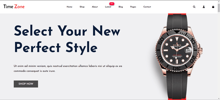 Watch Shop Website