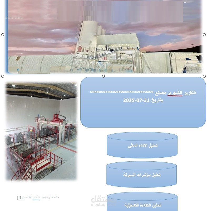 القوائم والتقارير المالية لشركات صناعية