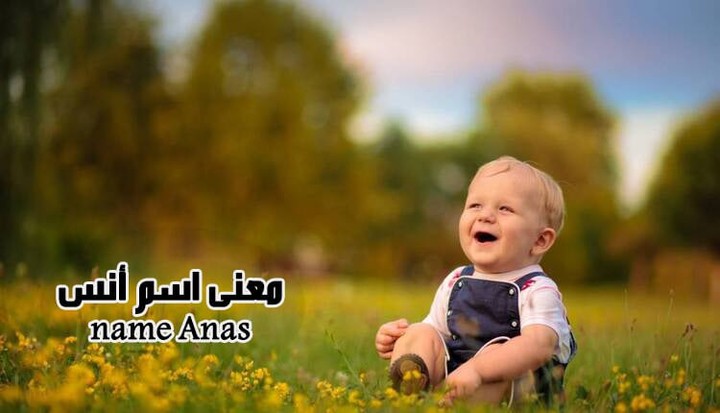 معنى اسم أنس Anas؛ 5 أسماء دلع لحامله