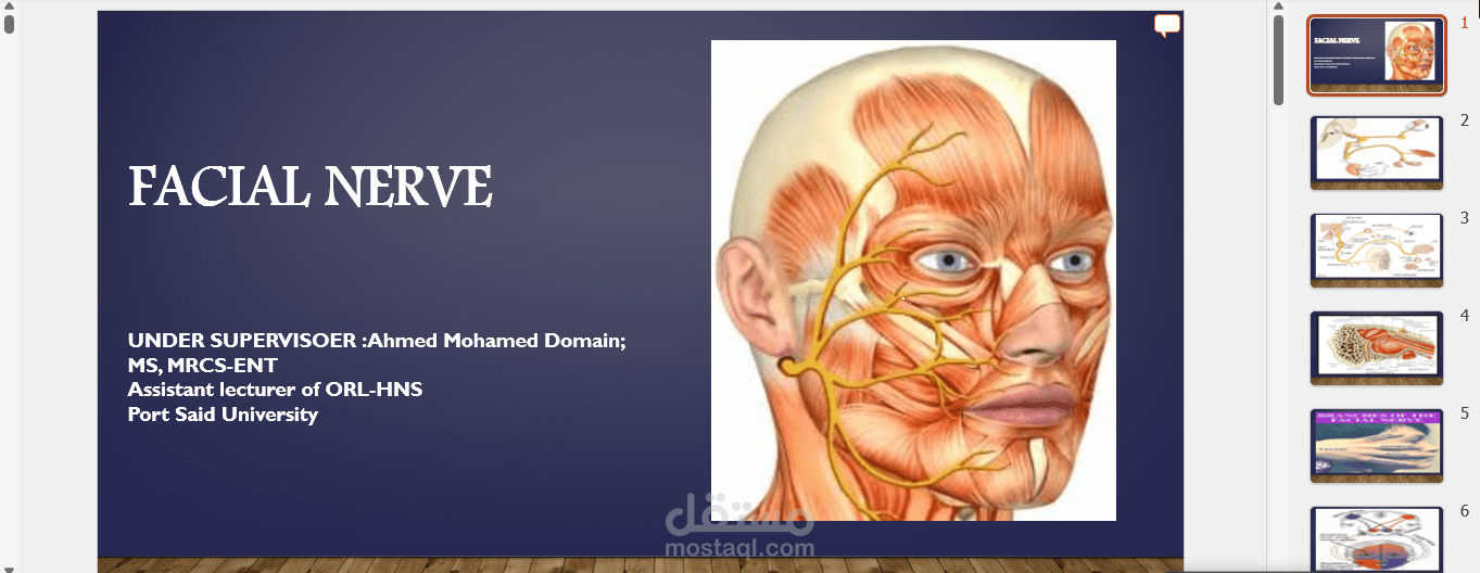 تصميم بريزنتيشن جامعي مع أنيميشن