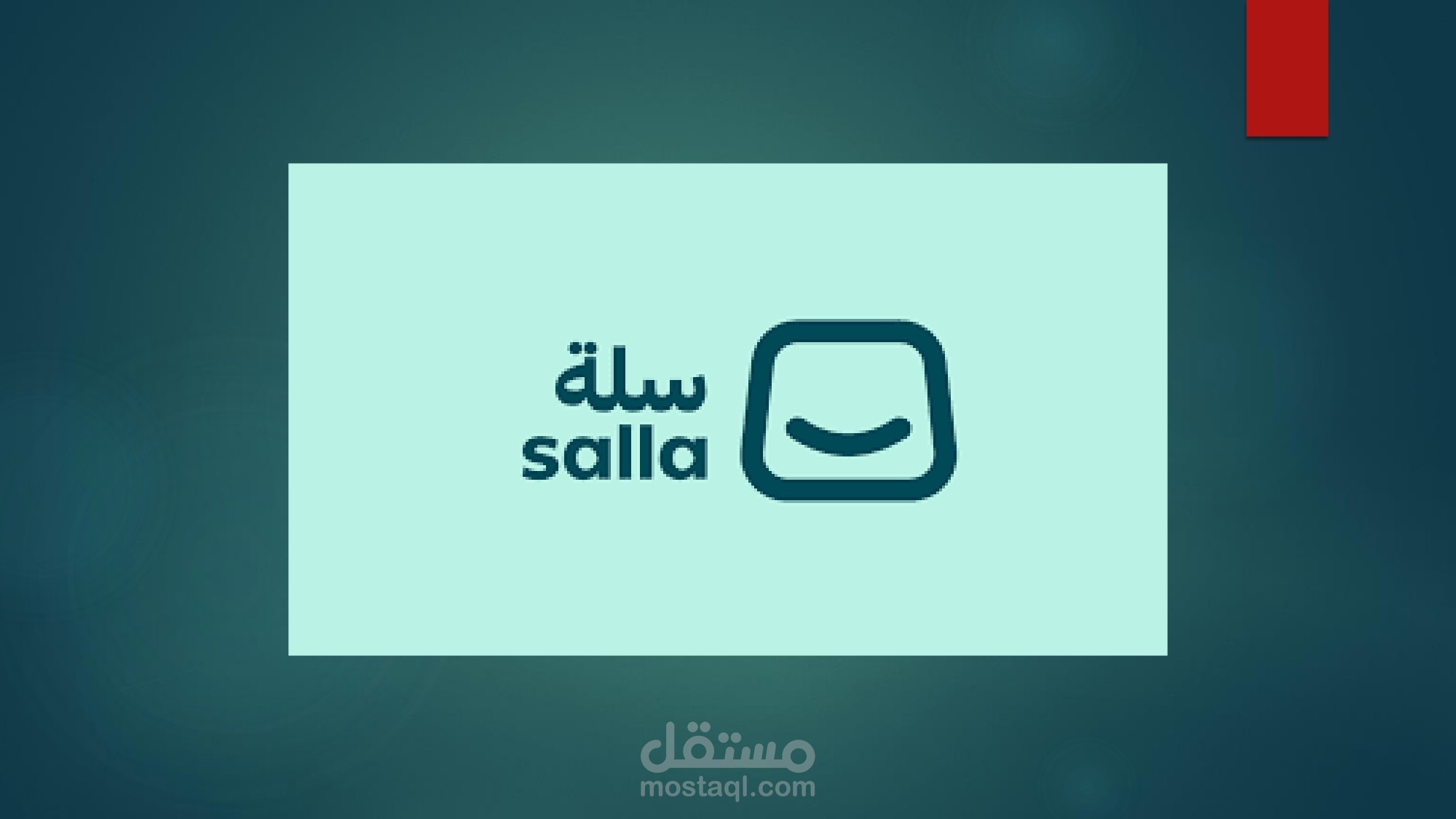ادارة متجر سلة وخدمة العملاء عبر المتجر والوتساب