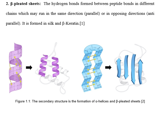 Protein Secondary Structure Prediction