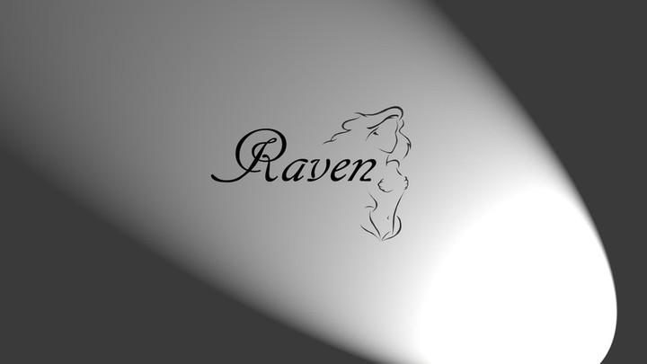 Logo for Raven company