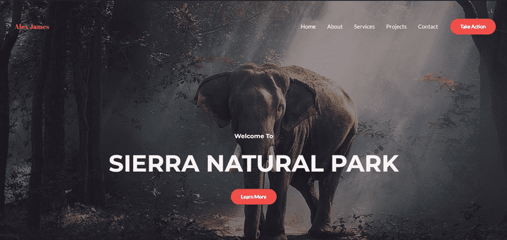 WordPress portfolio website