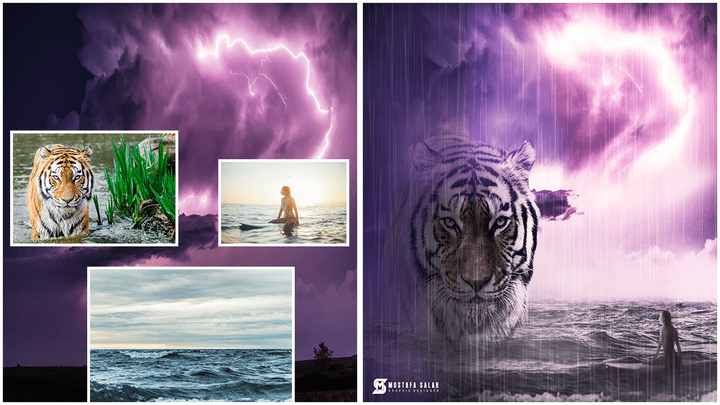 Tiger and girl Photoshop Manipulation