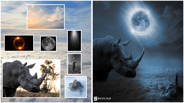 Rhino Photoshop Manipulation