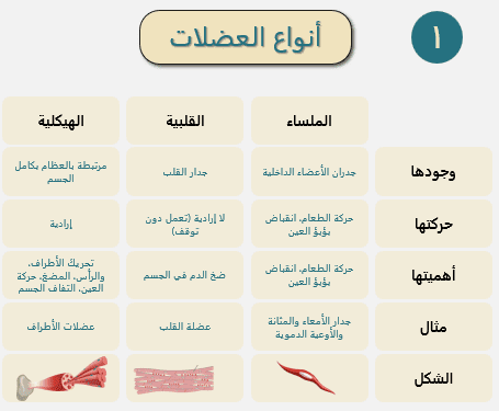 نموذج ملف (ملخص علوم عامة)