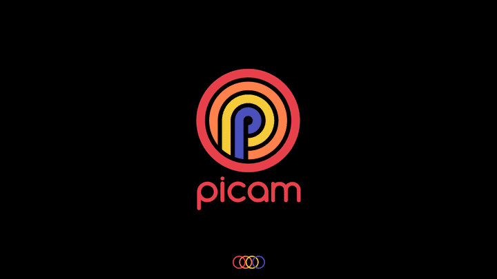 شعار احترافي  picam