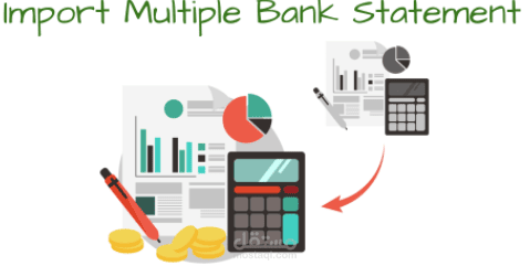 Import Multiple Bank Statement from Excel/CSV file | مستقل