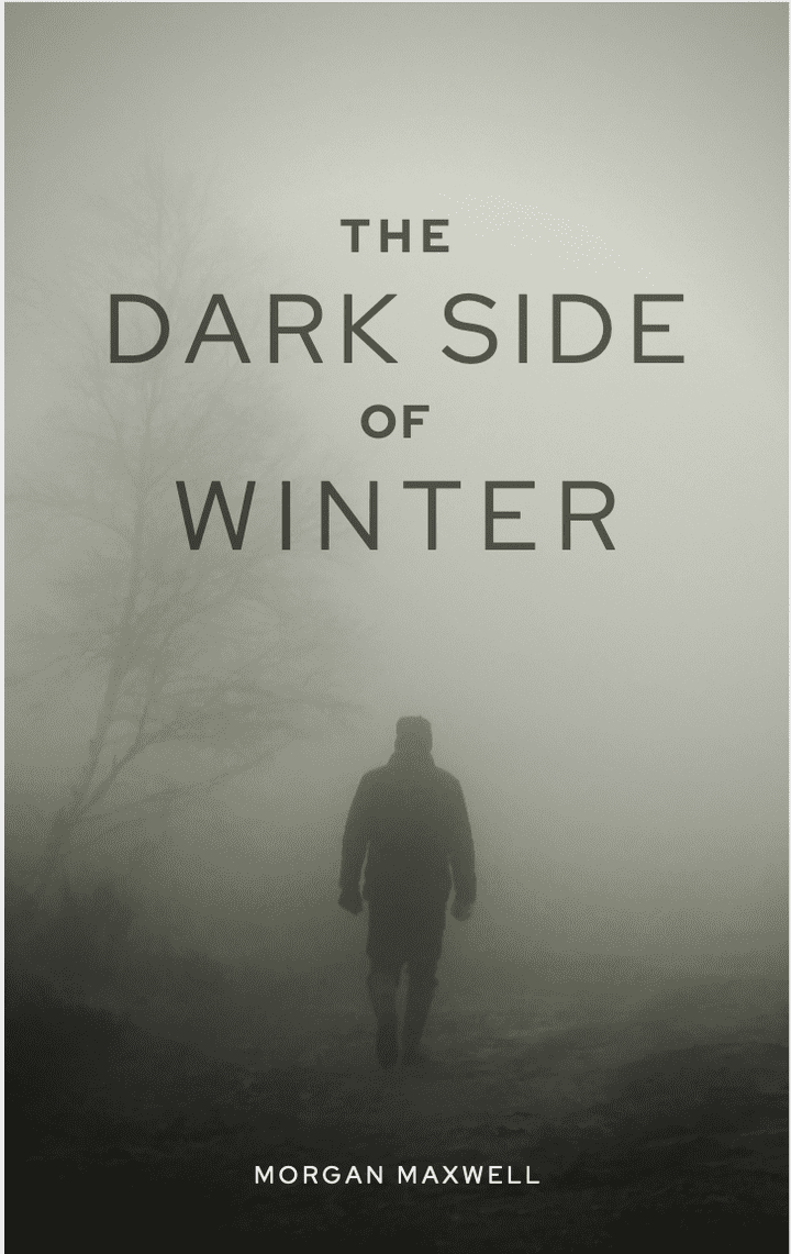 غلاف لرواية the dark side of winter