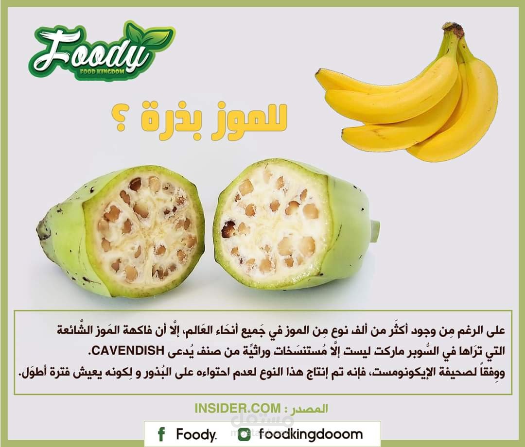 تصميم معلومات للسوشال ميديا