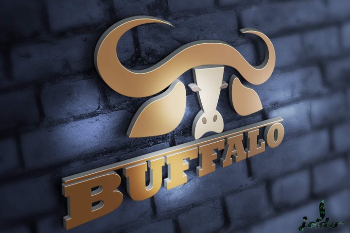 Buffalo logo