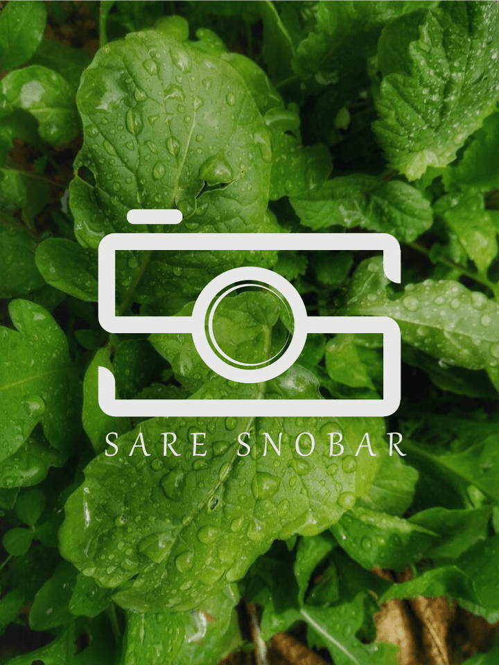 Sare Snobar