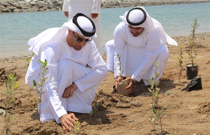 مقالة عن جمعية أصدقاء البيئة "منشور في إحدى المجلات"