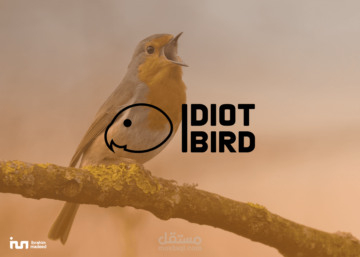 هوية بصرية لصالح Idiot bird