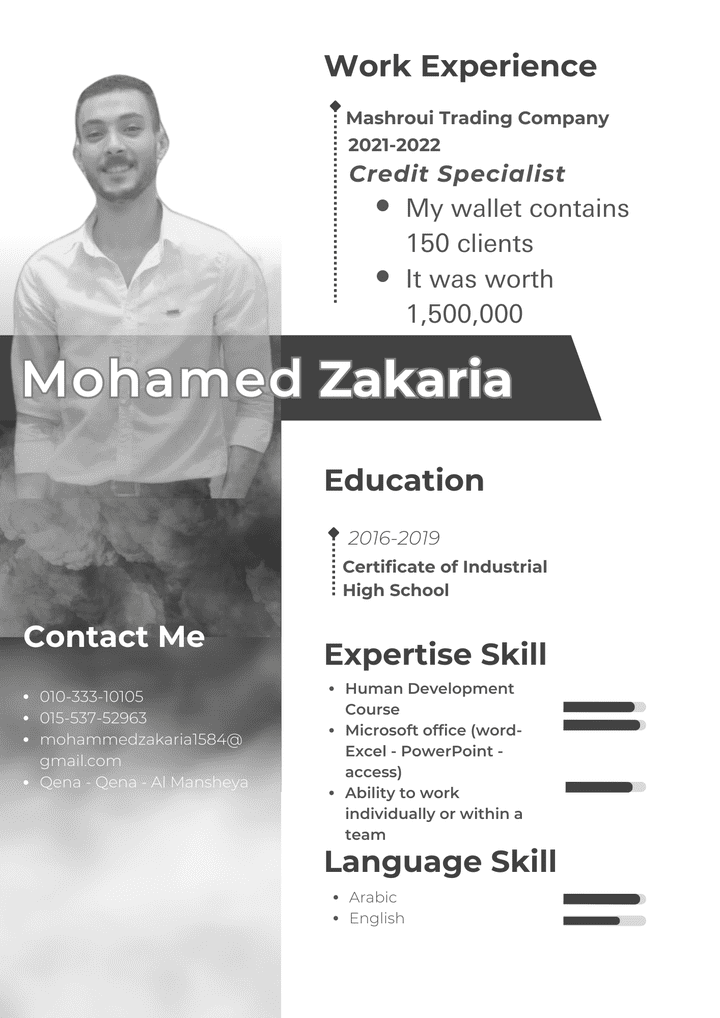 professional Cv