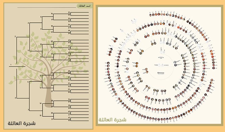 تصميم شجرة العائلة بشكل مميز و انيق